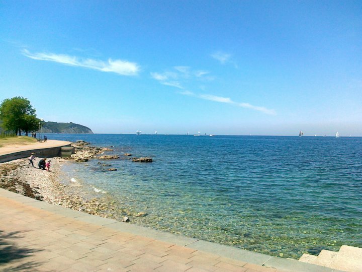 halietum 3