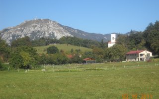 zima