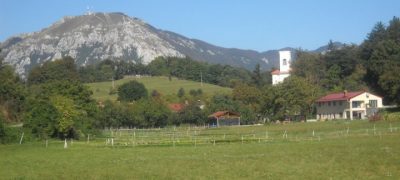 lojtrnik 1