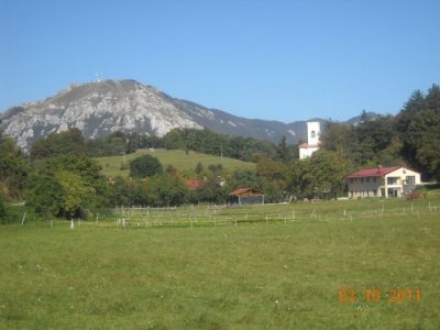 lojtrnik 1